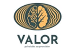 Valor Logo